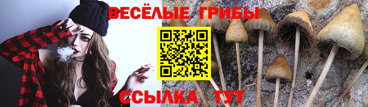 Псилоцибиновые грибы мухоморы Чернушка